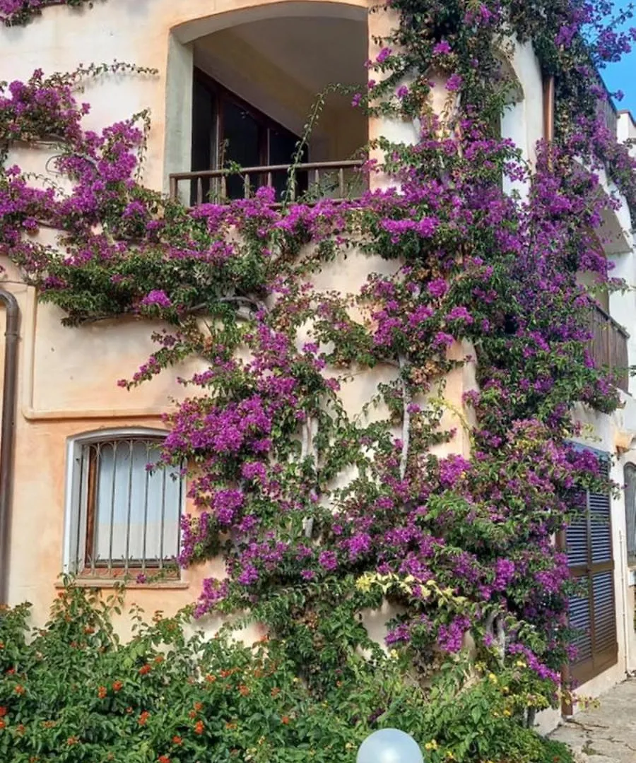 Residenza Chrysalis Bay Aparthotel Porto Cervo